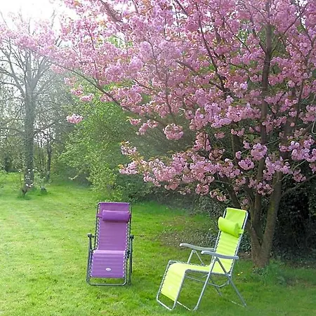 Au Retour Du Bed & Breakfast